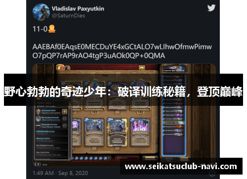 野心勃勃的奇迹少年：破译训练秘籍，登顶巅峰